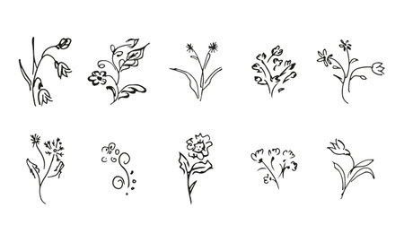 10 hand-drawn blossom wildflowers. Big collection of 10 hand-drawn roses. Big floral botanical set. isolated on white background. Doodle simple vector collectionのイラスト素材