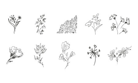 10 hand-drawn blossom wildflowers. Big collection of 10 hand-drawn roses. Big floral botanical set. isolated on white background. Doodle simple vector collectionのイラスト素材