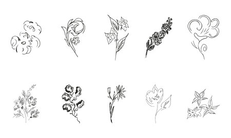 10 hand-drawn blossom wildflowers. Big collection of 10 hand-drawn roses. Big floral botanical set. isolated on white background. Doodle simple vector collectionのイラスト素材