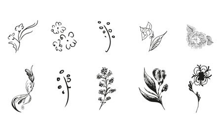 10 hand-drawn blossom wildflowers. Big collection of 10 hand-drawn roses. Big floral botanical set. isolated on white background. Doodle simple vector collectionのイラスト素材