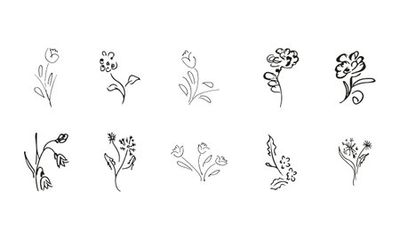 10 hand-drawn blossom wildflowers. Big collection of 10 hand-drawn roses. Big floral botanical set. isolated on white background. Doodle simple vector collectionのイラスト素材