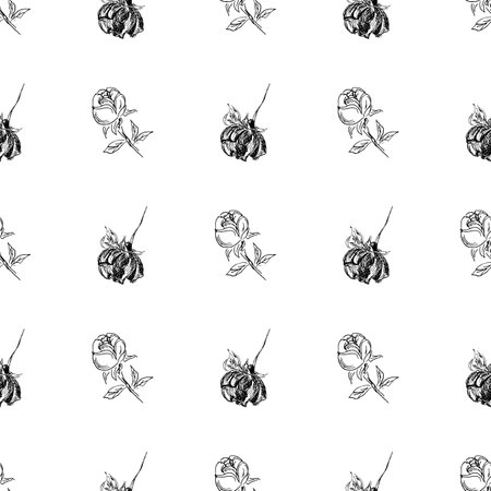 Doodle simple vector seamless pattern of hand-drawn peonies. Seamless random pattern of hand-drawn peonies. isolated on white background.のイラスト素材