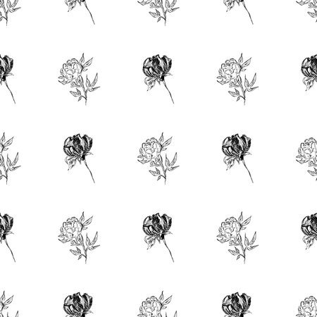 Doodle simple vector seamless pattern of hand-drawn peonies. Seamless random pattern of hand-drawn peonies. isolated on white backgroundのイラスト素材