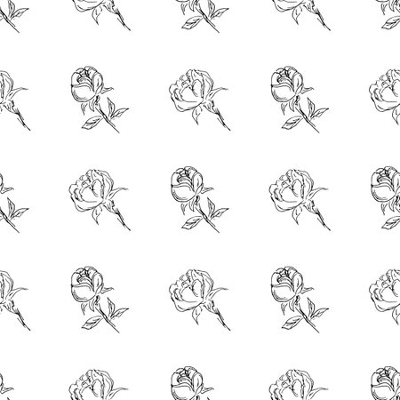 Doodle simple vector seamless pattern of hand-drawn peonies. Seamless random pattern of hand-drawn peonies. isolated on white backgroundのイラスト素材