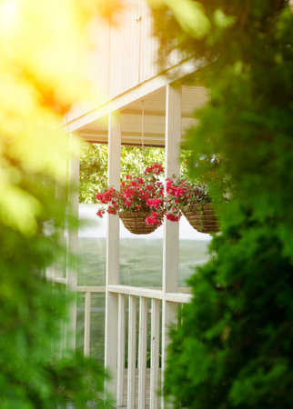 Multi-colored petunias in pots. The original decoration for the wellの写真素材