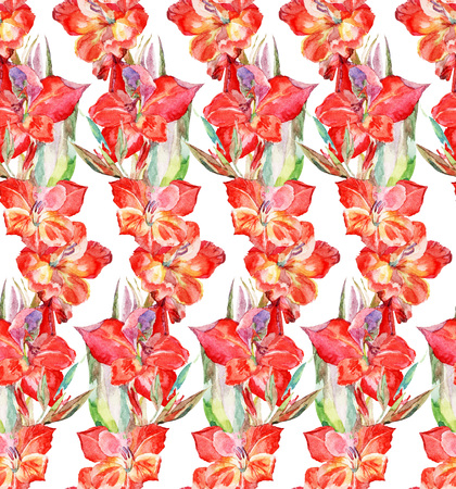 seamless watercolor flowers glagiolus on a white backgroundの写真素材