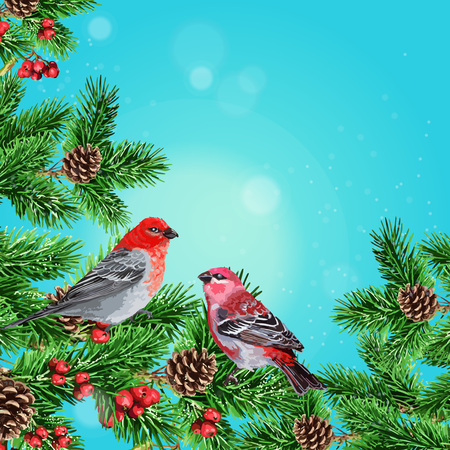 background of Winter bird, fir branch and rowanのイラスト素材