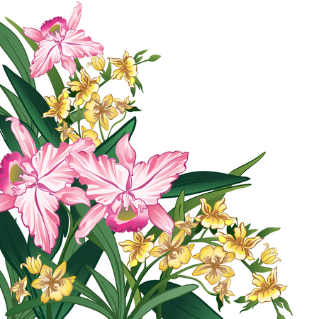 card of Pink and yellow flowers on a white backgroundのイラスト素材