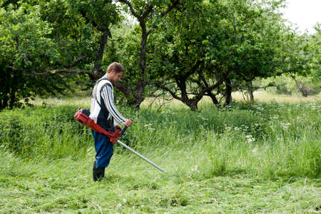 worker cutting grass in garden with the weed trimmer