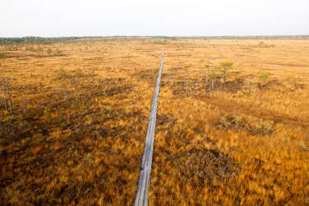 Bog in sunny autumn day.  Vasenieku Purvs is a swamp in Ventspils Rajons, Latvia, Europaの写真素材