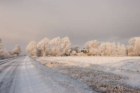 early winter morning, with frost covered trees and roadの写真素材