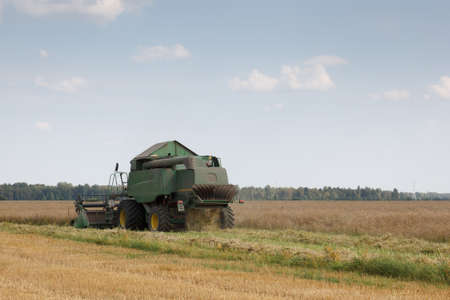 harvesting combine in the wheat fieldの写真素材