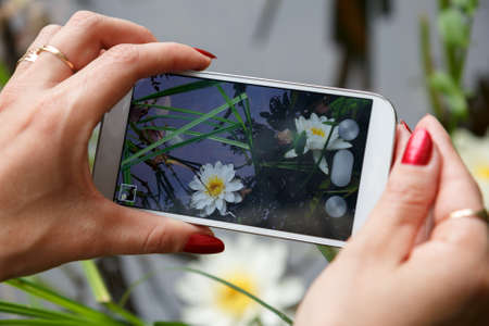 A woman taking a photo of flowers on a mobile phoneの写真素材