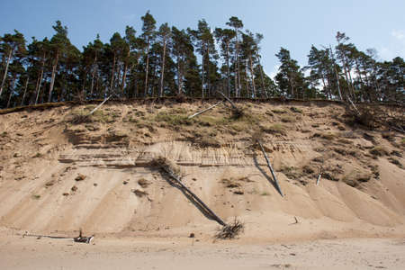 A steep sandy hill with trees on top of itの写真素材