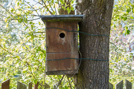 A wooden bird house beside a tree