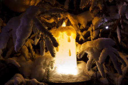 A lit candle under a snow covered evergreenの写真素材