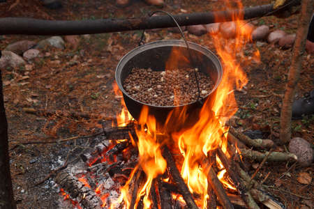 Boiling beans in a cauldron in the forestの写真素材