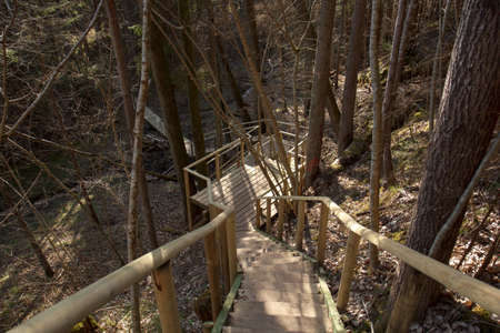 Wooden plank path stairway in the forest
