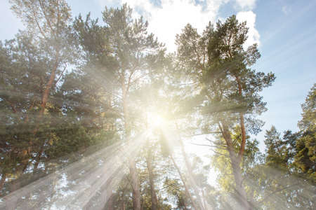 Sun ray beamの写真素材