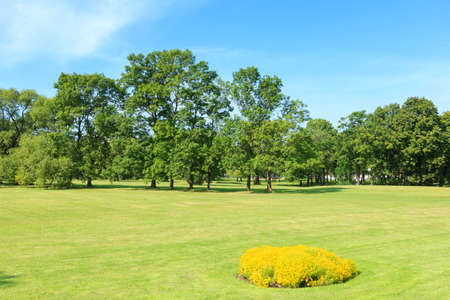Freshly mowed lawn in a public city park