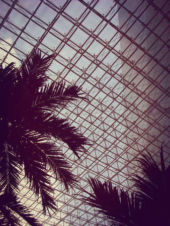 glass buildingの写真素材