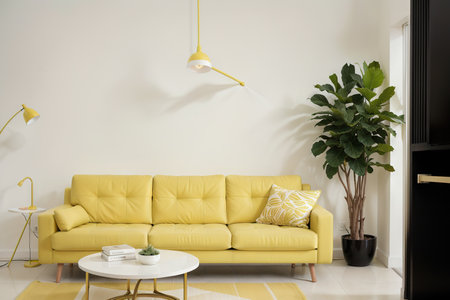 Yellow sofa with plant on white wall and Terrazzo flooring.の素材