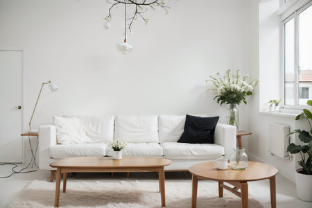 White living room with sofa. Scandinavian interior design.の素材