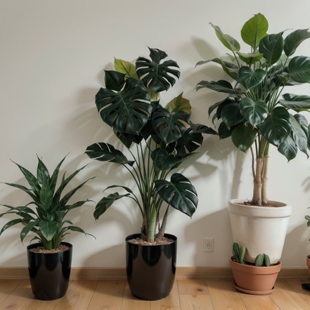 Houseplants. Plant outline drawing  set, succulents in pots. Indoor exotic flowers with stems and leaves. Monstera, ficus, pothos,の素材