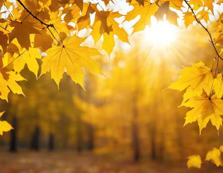 Autumn nature Fall abstract autumnal backgroundの素材