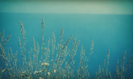 Beautiful wild flowers on the background of the sea. Toned.の素材