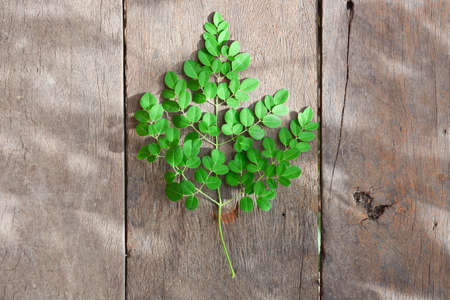 Green leaves on the wooden floor,Minimal concept.の写真素材