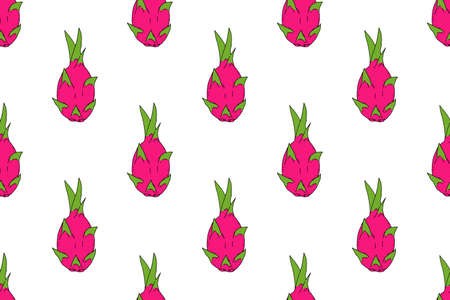 Seamless Pattern of Dragon fruit on White Background.Vector.Illustration.Han-drawn.のイラスト素材