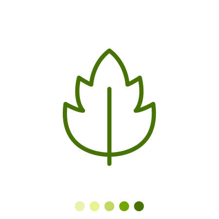 Simple green leaf linear icon.のイラスト素材