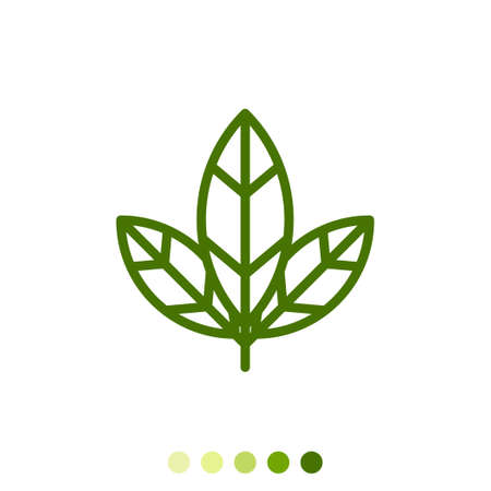 Simple green leaf linear icon.のイラスト素材