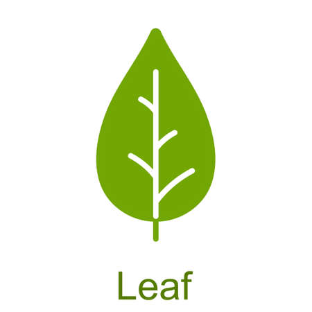 Simple green glyph leaf icon.