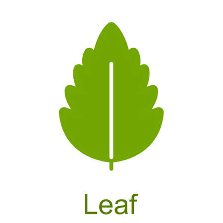 Simple green glyph leaf icon.のイラスト素材