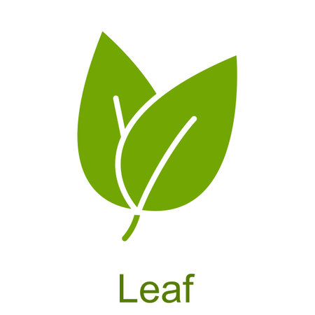 Simple green glyph leaf icon.のイラスト素材