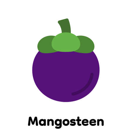 Mangosteen icon, Vector, Illustration .のイラスト素材