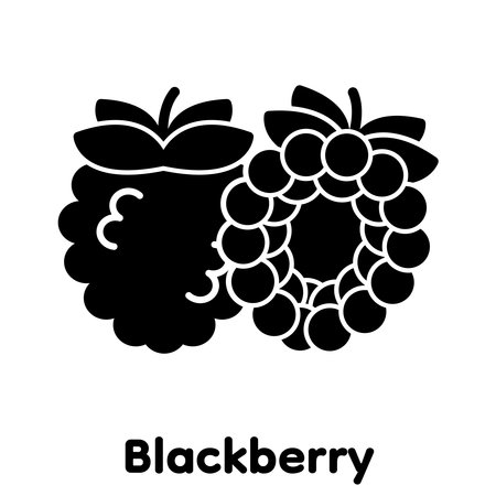 Blackberry glyph icon, Vector, Illustration.のイラスト素材