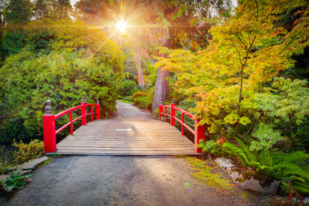 Red bridge in japanese green park in autumn time. Seattle.の写真素材