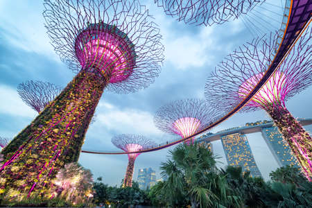 SINGAPORE- April 25: Night view of The Supertree Grove at Gardens by the Bay on April 25, 2015 in Singapore. Spanning 101 hectares, and five-minute walk from Bayfront MRT Station.のeditorial素材