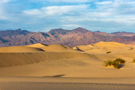 Mesquite dunes in Death Valley, California, USAの写真素材