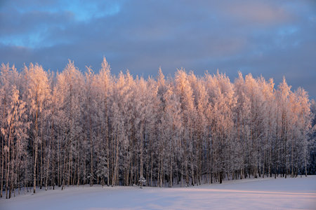 Beautiful winter landscape in the sunrise with a frozen trees and snow covered road on foregroundの写真素材