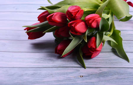Red tulips bouquet on a blue wooden board. Valentine's Day, Woman's Day and Mother's Day concept. Spring tulips bouquet. copy spaceの写真素材