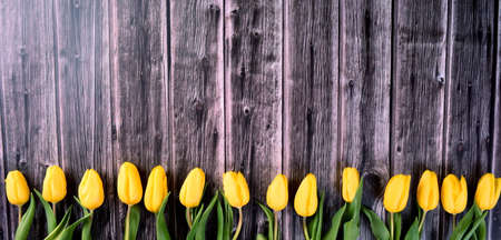 bouquet of yellow tulips on the background of an old gray wooden board, copy space. Valentine's Day, Woman's Day and Mother's Day concept.の写真素材