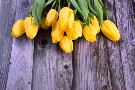 bouquet of yellow tulips on the background of an old gray wooden board, copy space. Valentine's Day, Woman's Day and Mother's Day concept.の写真素材