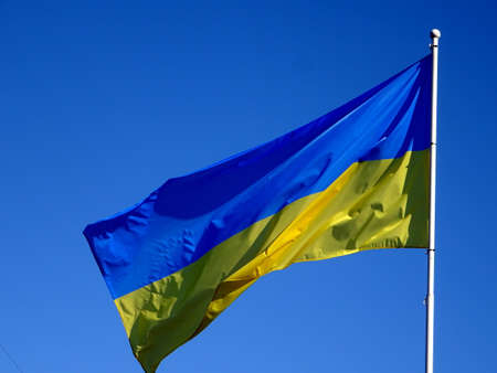 Ukrainian flags in the wind on a background of blue sky
