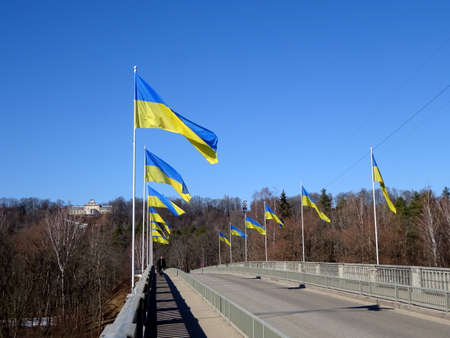 Lots of Ukrainian flags on the bridge over the river Gauja near Siguldaの写真素材