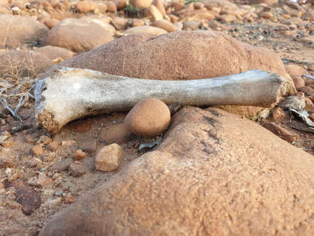Rock Stone is a natural substance,a solid aggregate of one or moreminerals or mineraloids. For...