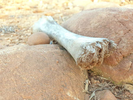 Rock Stone is a natural substance,a solid aggregate of one or moreminerals or mineraloids. For...